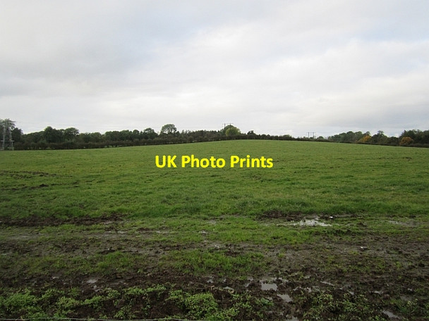 Photo 6"x4" Grass off Ballee Road Killybegs\/J0899 c2012