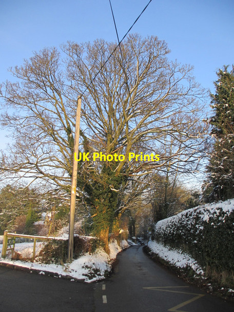 Photo 6"x4" Ffordd Pen y Bryn in Nerquis\/Nercwys Nercwys c2013