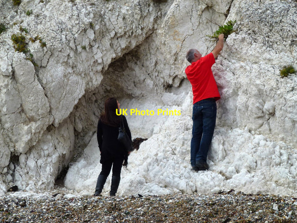 Photo 6"x4" Hammering the cliffs at Lulworth Cove West Lulworth c2012