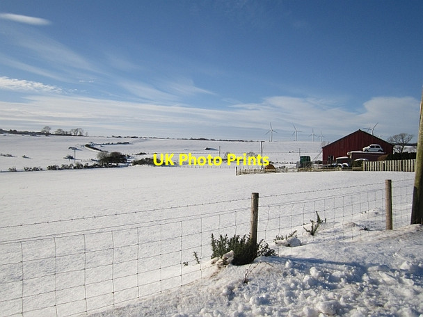 Photo 6"x4" Snow covered field, Coldingham Moor Laverock Braes\/NT8567 c2013