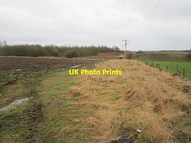 Photo 6"x4" Track, Strathore Stenton\/NT2798 c2013