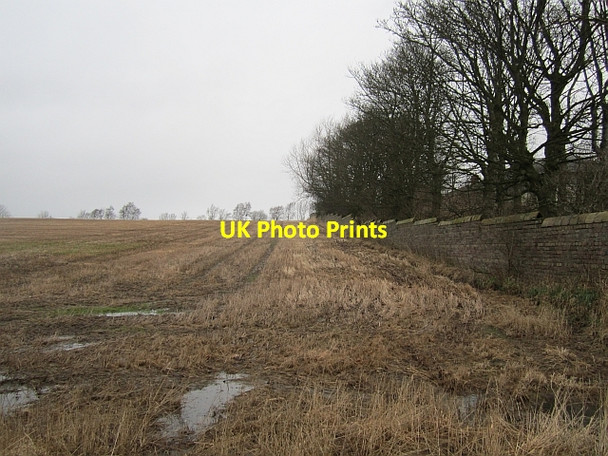 Photo 6"x4" Stubble, Strathore Cluny\/NT2495 c2013
