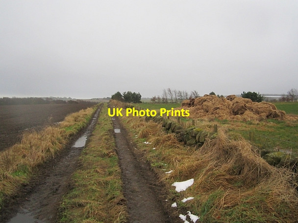 Photo 6"x4" Farm road, Cluny Cluny\/NT2495 c2013