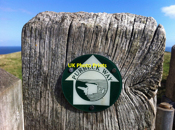 Photo 6"x4" Purbeck Way waymark disc on Ballard Down Studland c2012