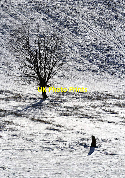 Photo 6"x4" A standing stone at Bemersyde Bemersyde c2013