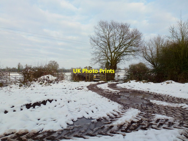 Photo 6"x4" Diverging footpaths at Grove farm Little Welland c2013