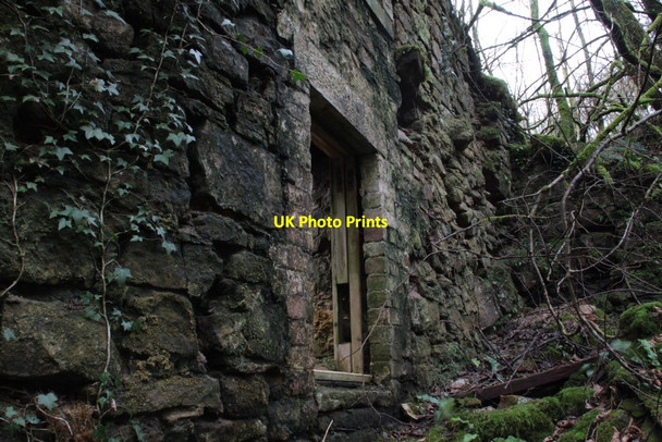Photo 6"x4" Old ruin Canonbie c2013