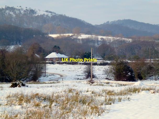 Photo 6"x4" On Castlemorton Common, 3 Chandler's Cross\/SO7738 c2013