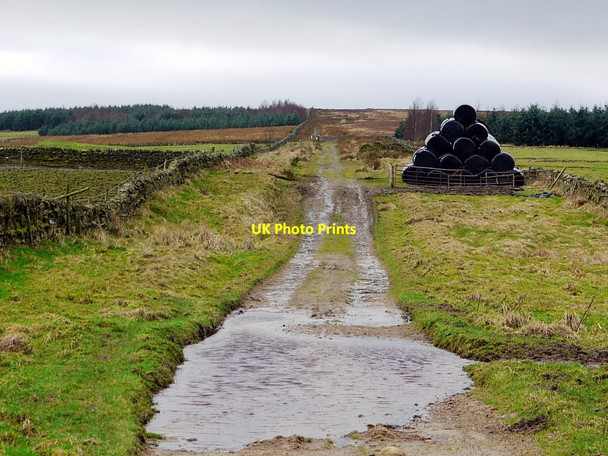 Photo 6"x4" Track east of Burntridge Sike Dalton\/NY9158 c2013