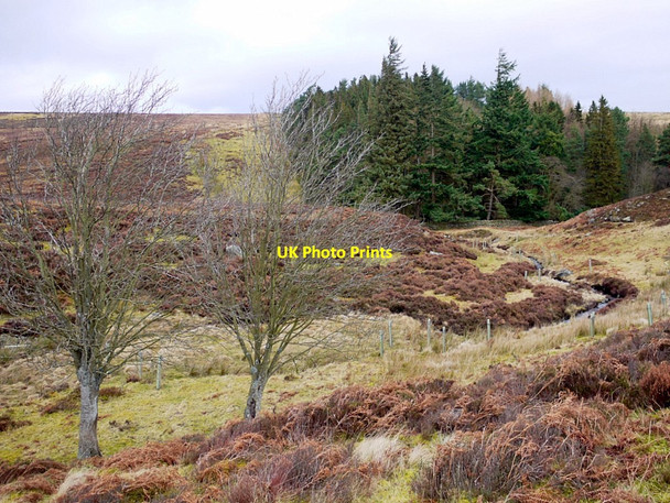 Photo 6"x4" Longrigg Sike Dalton\/NY9158 c2013