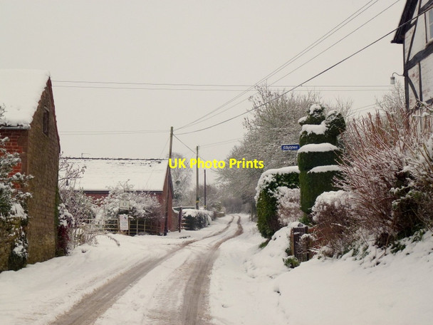 Photo 6"x4" Little Tarrington Little Tarrington c2013