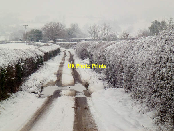 Photo 6"x4" Little Tarrington Lane Durlow Common c2013
