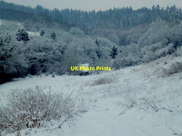 Photo 6"x4" Shack on the woodland edge Huntley\/SO7219 c2013
