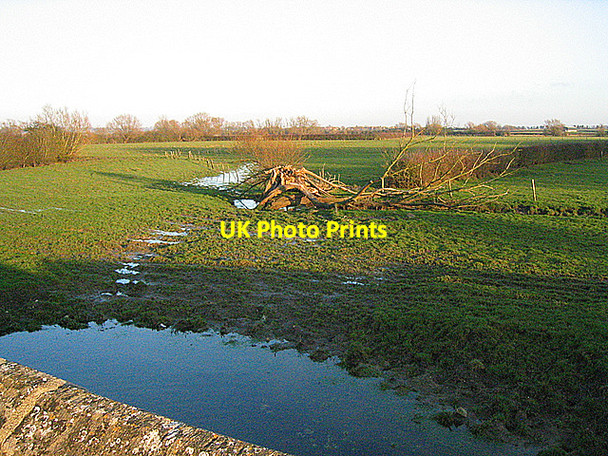Photo 6"x4" Cracked Willow east of Whirlpool Arch - 2008 Draycot c2008