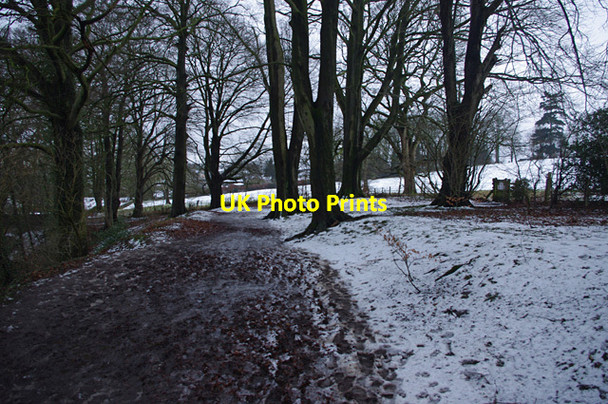 Photo 6"x4" Footpath north of Kirkby Lonsdale Kirkby Lonsdale c2013