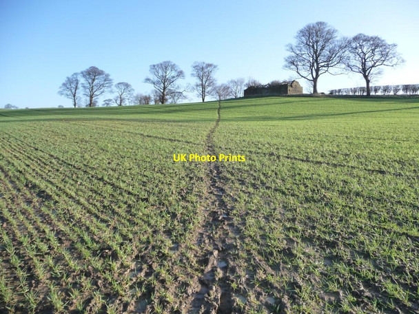 Photo 6"x4" Path to the ruin, south of Broad Oak Hill Emley\/SE2413 c2013