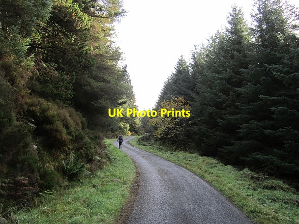 Photo 6"x4" Mast road, Gortin Glen Forest Gortin c2012