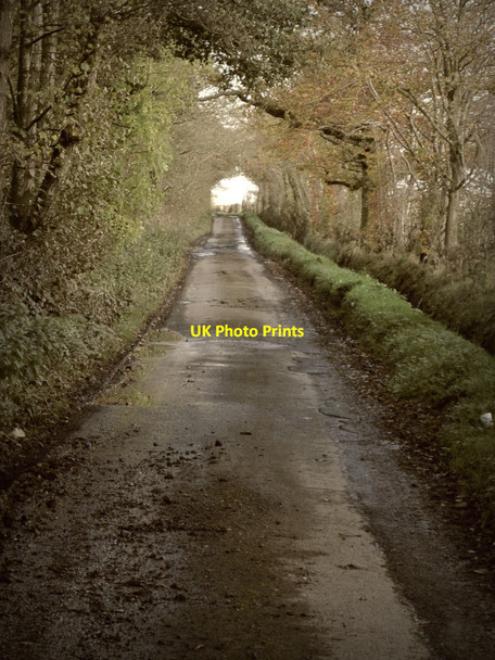 Photo 6"x4" Old C Road Blackford\/NY3962 c2011