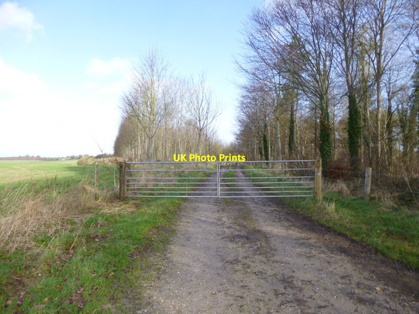 Photo 6"x4" Long Crichel, gate Long Crichel c2013