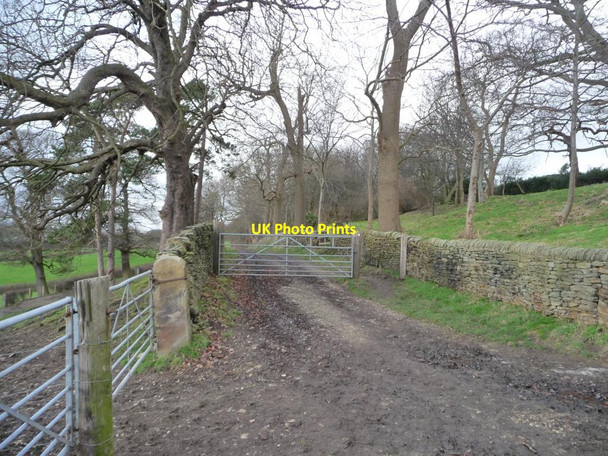 Photo 6"x4" Footpath and track to South Lane Cawthorne\/SE2807 c2013