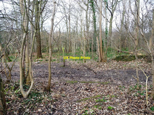 Photo 6"x4" Footpath crossing bridleway, Bentcliff Hill Plantation Hill Top\/SE2705 c2013