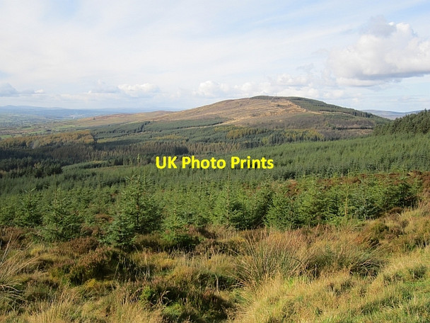 Photo 6"x4" Gortin Glen Forest Gortin c2012
