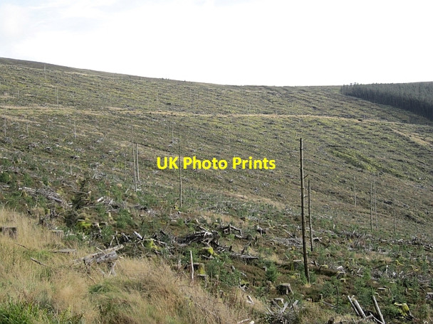Photo 6"x4" Gortin Glen Forest Mountfield\/H5378 c2012 P1