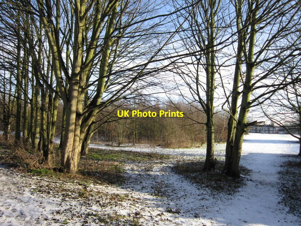 Photo 6"x4" Fields off Springhead Avenue, Hull East Ella c2013