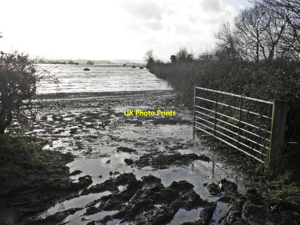 Photo 6"x4" Flooding in the Tone valley West Lyng c2013