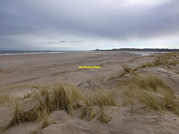 Photo 6"x4" On the dunes behind Ross Back Sands Ross\/NU1337 c2013