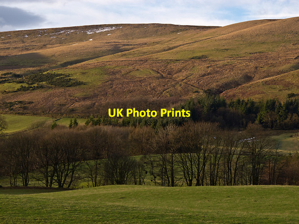 Photo 6"x4" Farmland near Pool of Muckhart Pool of Muckhart c2013