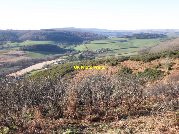 Photo 6"x4" View towards Hindon Farm Bratton\/SS9446 c2013
