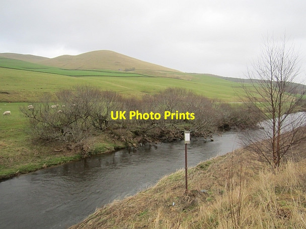 Photo 6"x4" Lyne Water Hallyne c2013