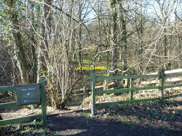 Photo 6"x4" Entrance to Nabs Wood Berry Moor c2013