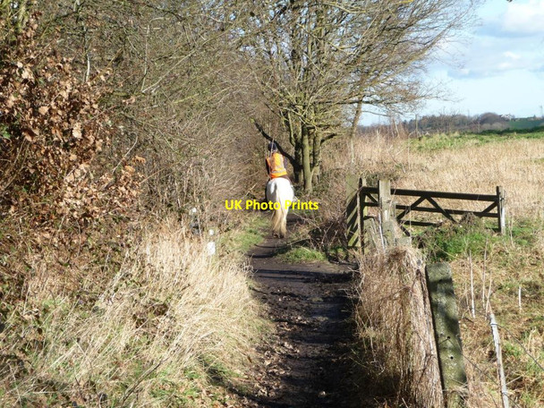 Photo 6"x4" Horse and rider near Knabbs Hall Farm Berry Moor c2013