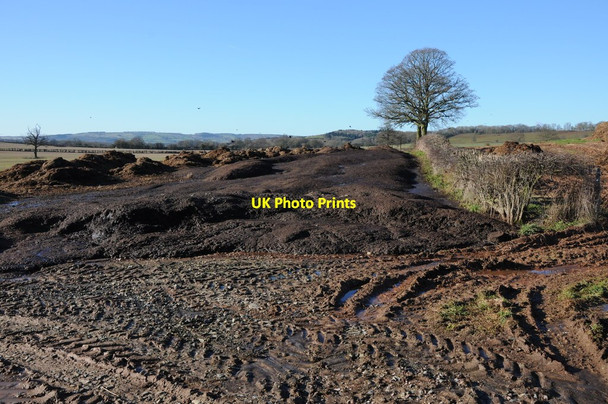Photo 6"x4" Slurry and muck bury Bowley Lane c2013