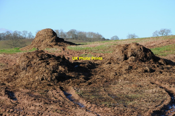 Photo 6"x4" Muck bury Bowley Lane c2013