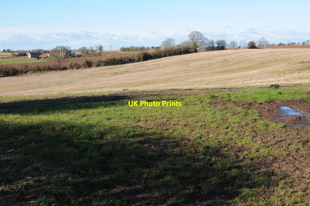 Photo 6"x4" Arable field near Acton Green Acton Green\/SO6950 c2013