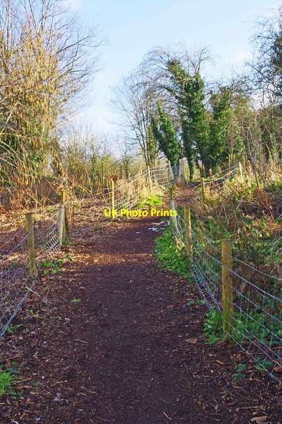 Photo 6"x4" Path to Springfield Park, Kidderminster Kidderminster c2013