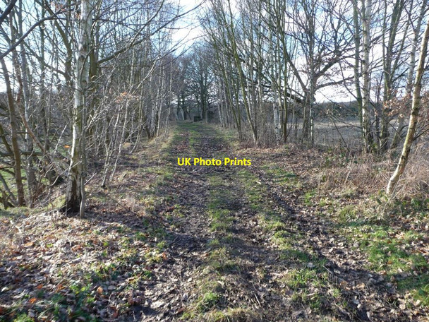 Photo 6"x4" Former branch line to Wentworth Silkstone colliery Dodworth Bottom c2013