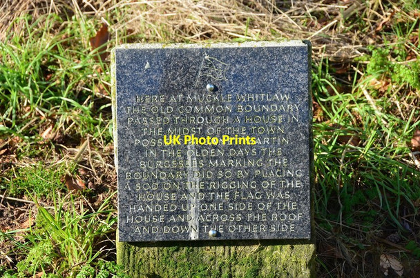 Photo 6"x4" Roadside plaque, Flex Lynnwood\/NT4913 c2013