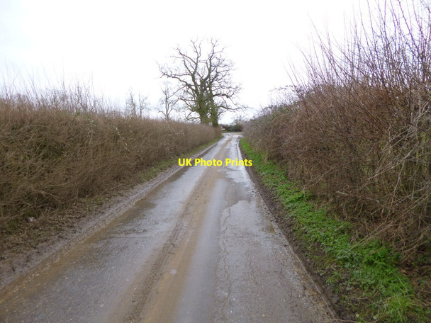 Photo 6"x4" Iwerne Minster, Pegg's Lane Farrington\/ST8415 c2013