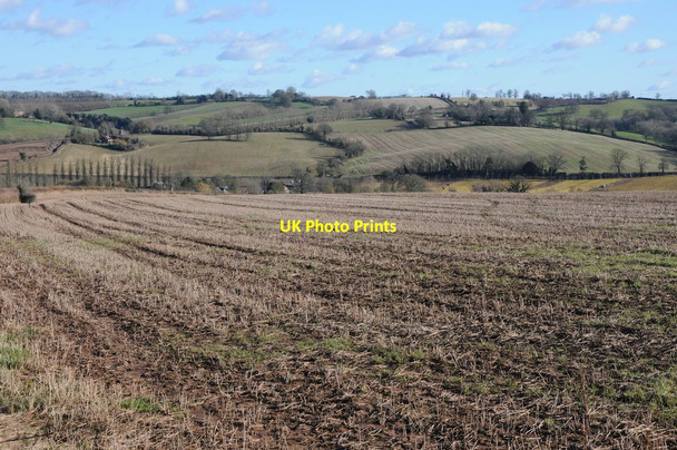Photo 6"x4" The Frome valley Golden Valley\/SO6649 c2013