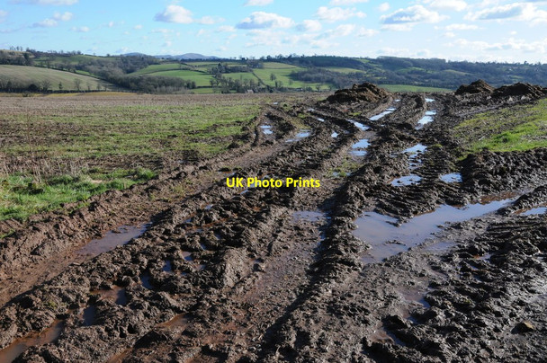 Photo 6"x4" Muddy field entrance Golden Valley\/SO6649 c2013