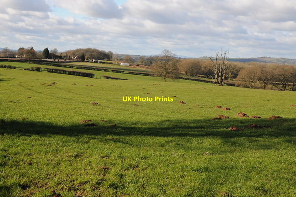 Photo 6"x4" Farmland at Stoke Lane Munderfield Row c2013