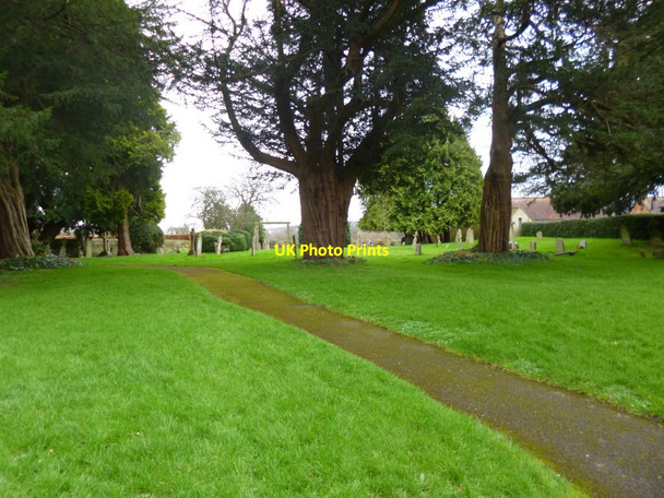 Photo 6"x4" Child Okeford, churchyard Child Okeford c2013