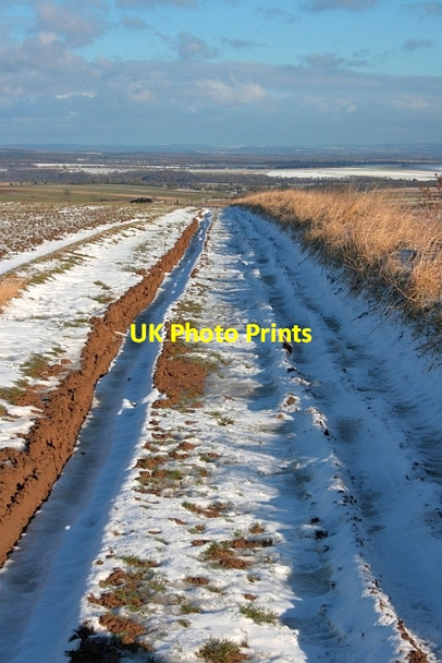 Photo 6"x4" Public Bridleway, Hambleton Down Boltby c2013