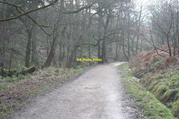 Photo 6"x4" Path from West Parkgate Wood Lanes c2013
