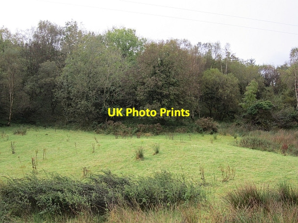 Photo 6"x4" A small field Altnapaste c2012