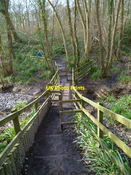 Photo 6"x4" Path through Dock Copse Burridge\/SU5110 c2013